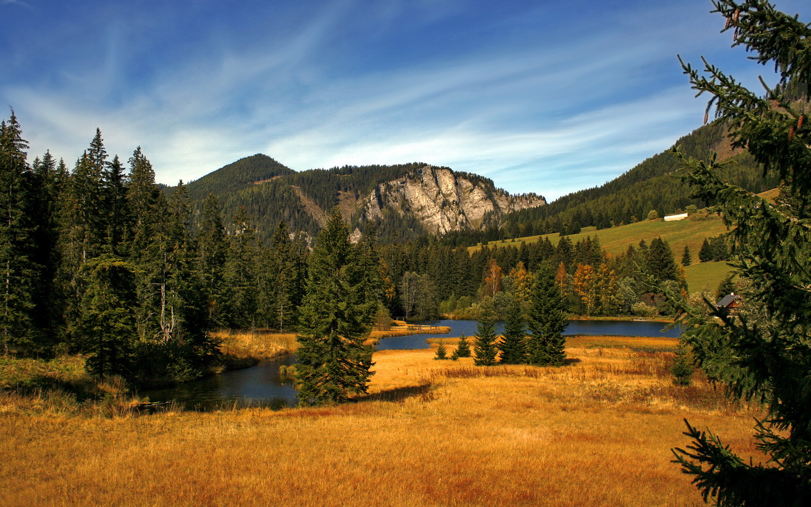 全面解析中国篮球青训体系的发展现状，中国篮球青训队